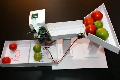 Raspberry Pi Tomato Sorting Machine