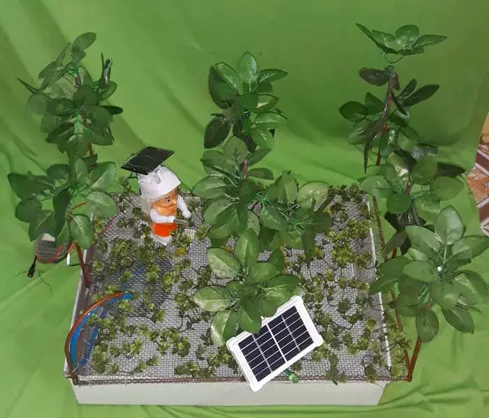 solar operated farming project